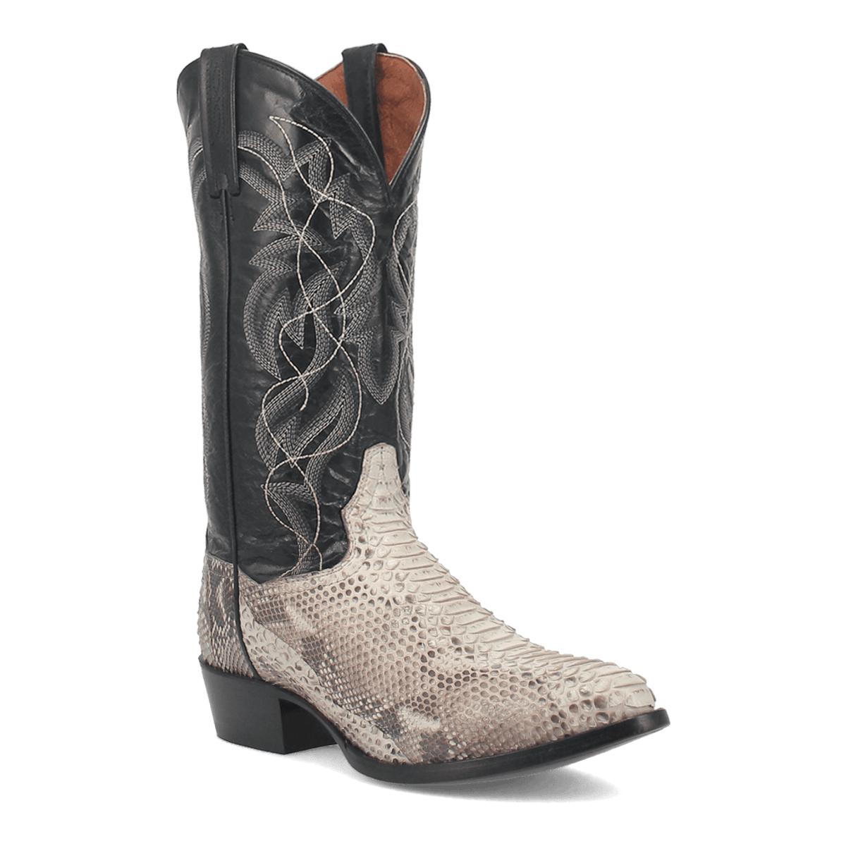 MANNING PYTHON BOOT Image