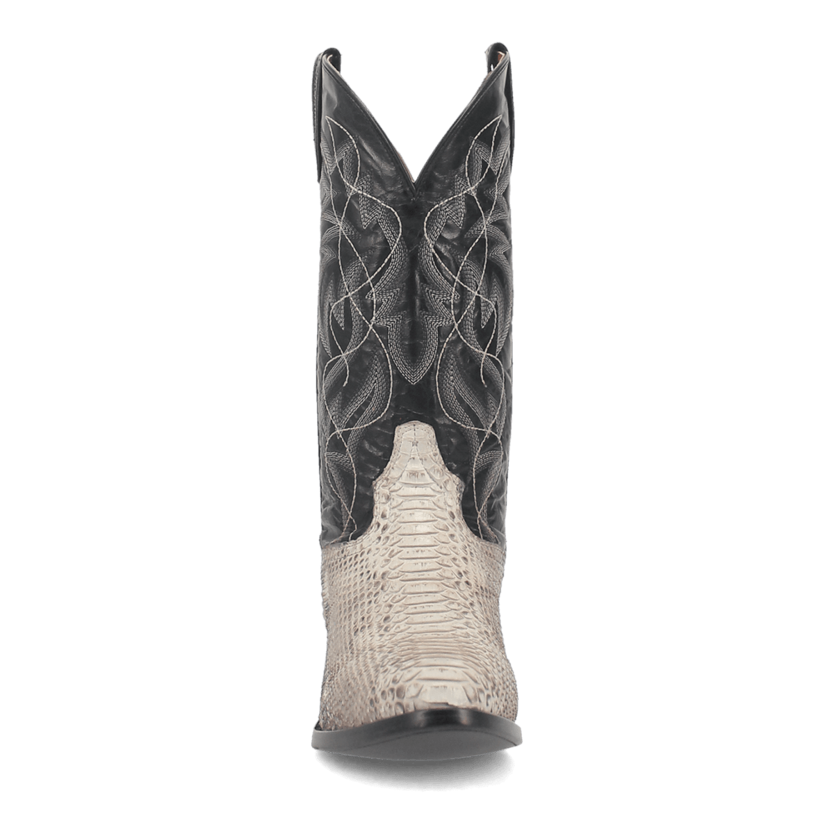 MANNING PYTHON BOOT Image
