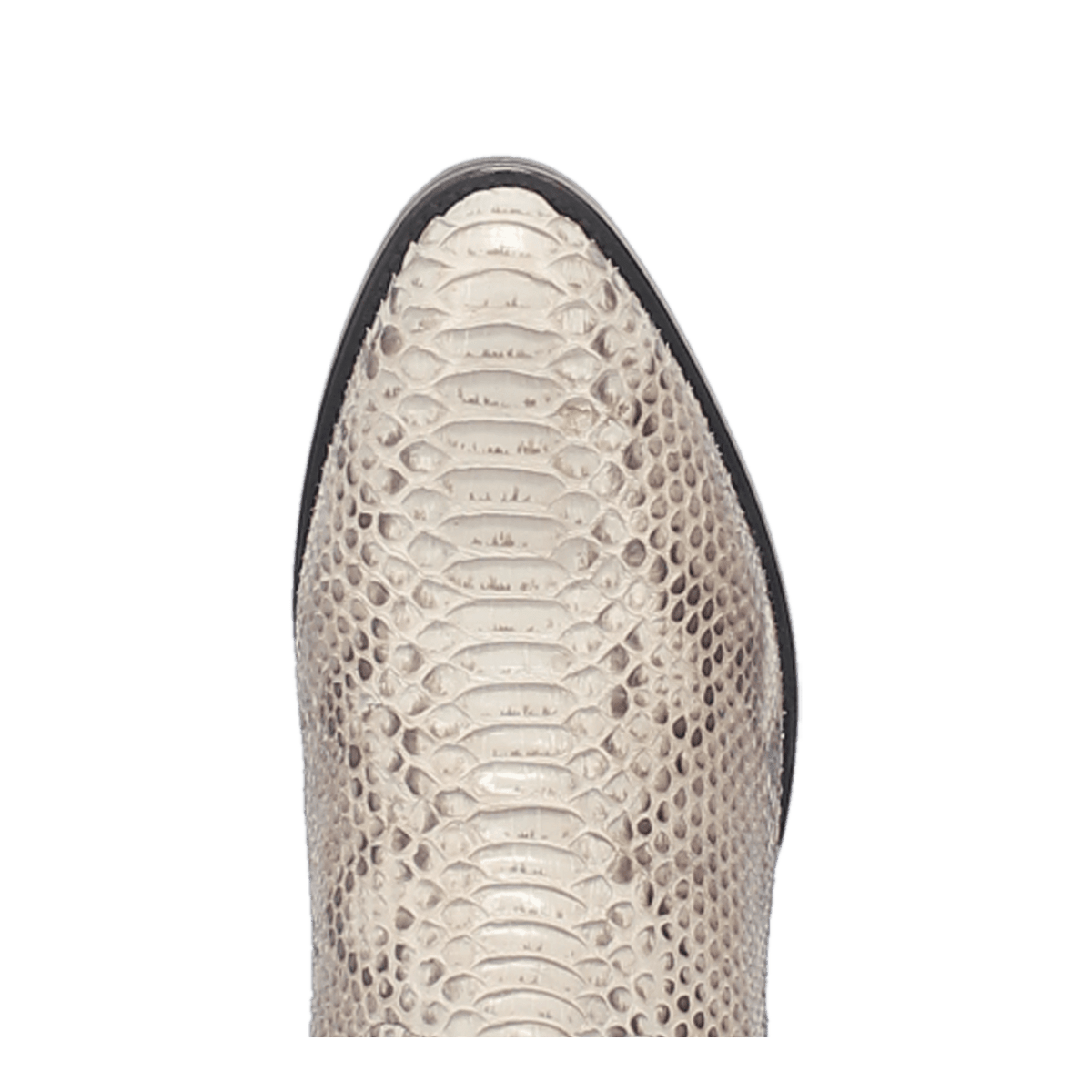 MANNING PYTHON BOOT Image