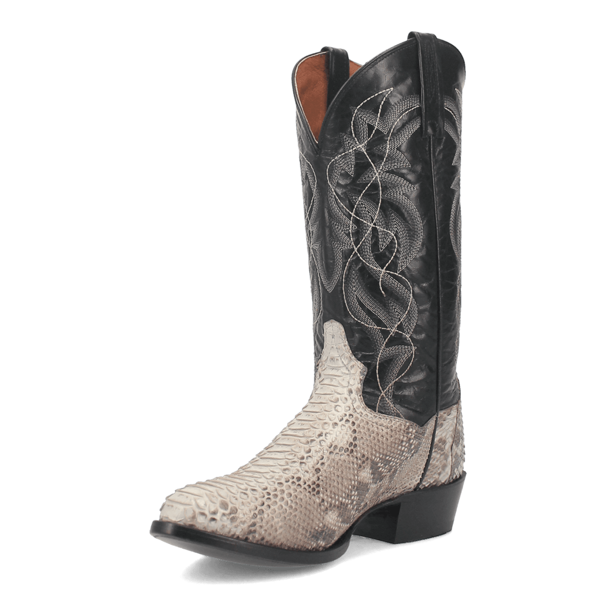 MANNING PYTHON BOOT Image