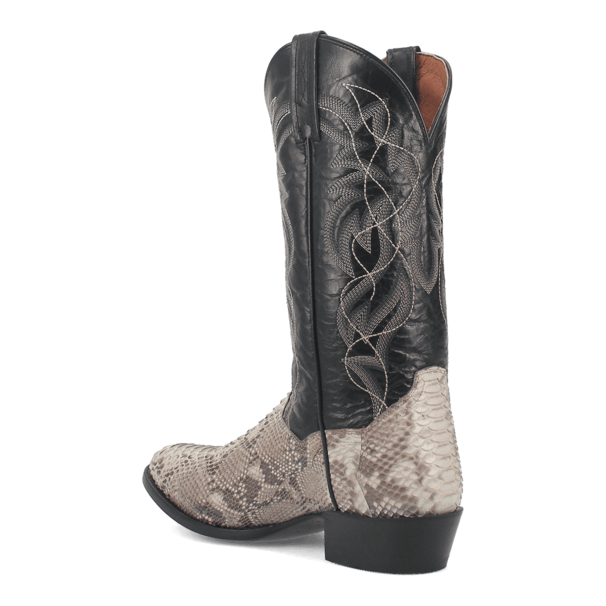 MANNING PYTHON BOOT Image