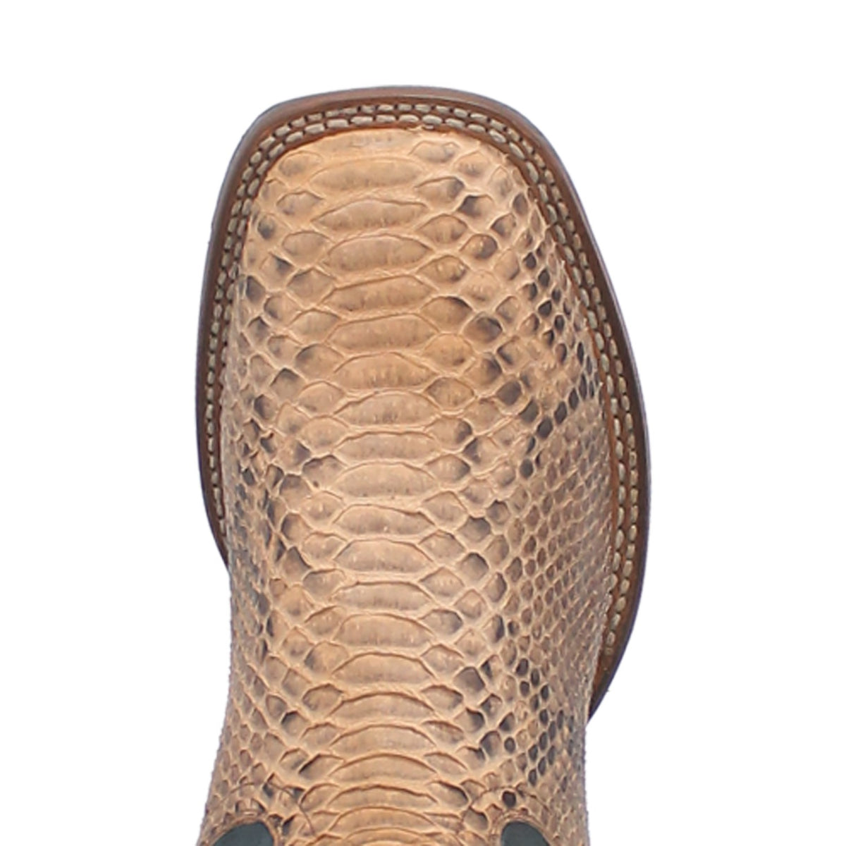 TEMPLETON PYTHON BOOT Cover