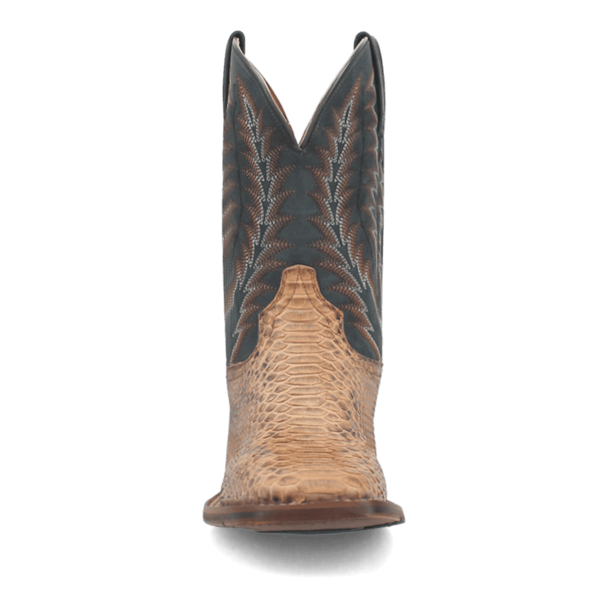 TEMPLETON PYTHON BOOT Image