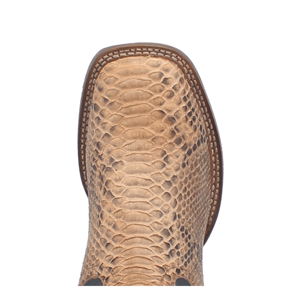 TEMPLETON PYTHON BOOT Image