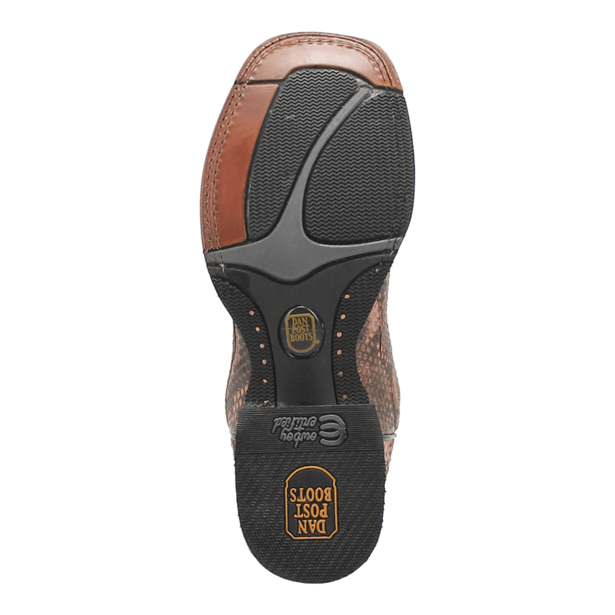TEMPLETON PYTHON BOOT Image