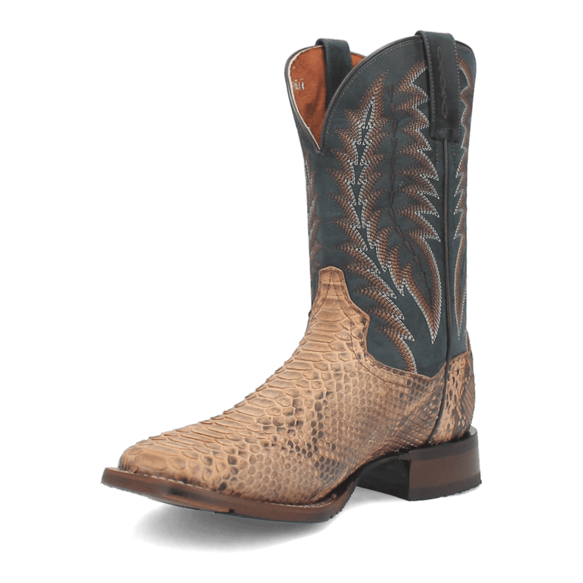 TEMPLETON PYTHON BOOT Image