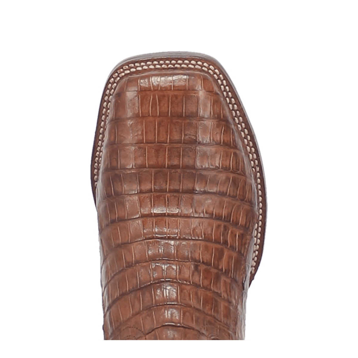 KINGSLY CAIMAN BOOT Image