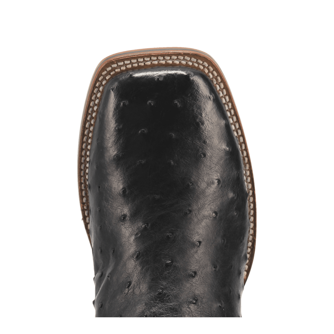 ALAMOSA FULL QUILL OSTRICH BOOT Preview #13