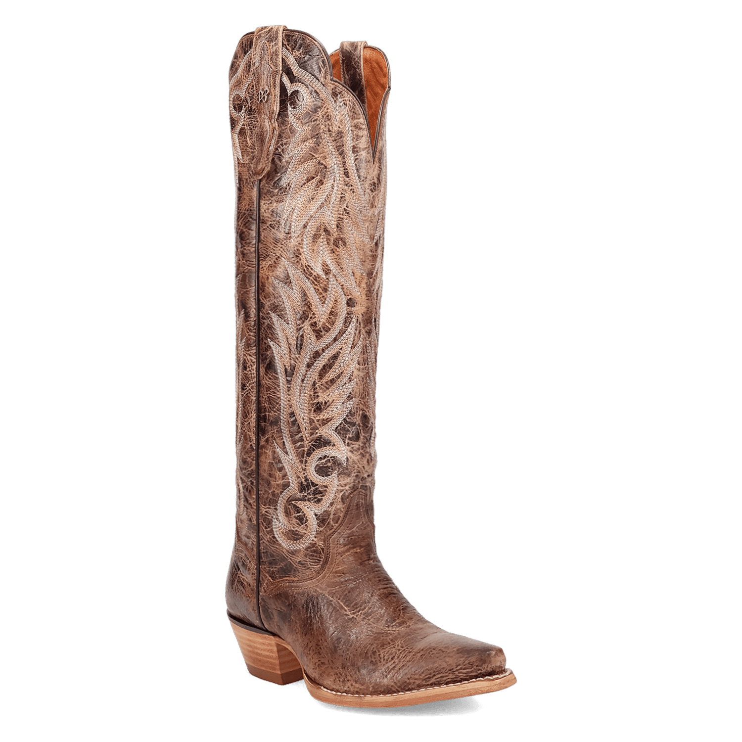 Bottes Cowgirl Vintage Dan Post En Cuir D'iguane Exotique, Taille US 8M, Fabriquées Aux USA