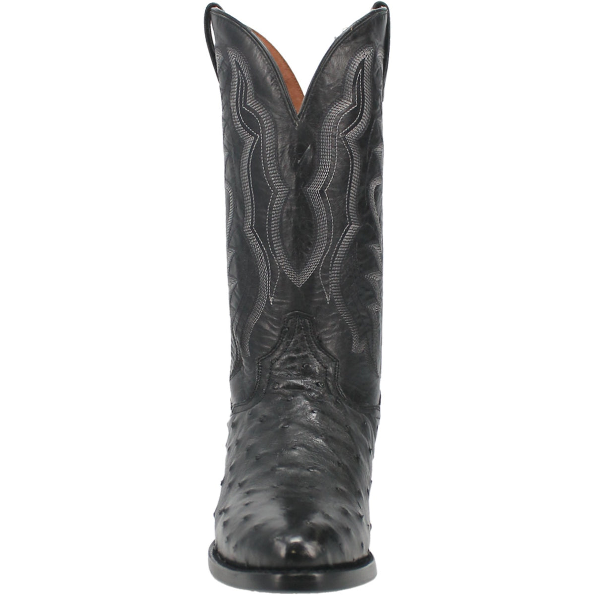 TEMPE FULL QUILL OSTRICH Cover
