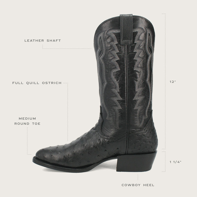 Features list for TEMPE FULL QUILL OSTRICH