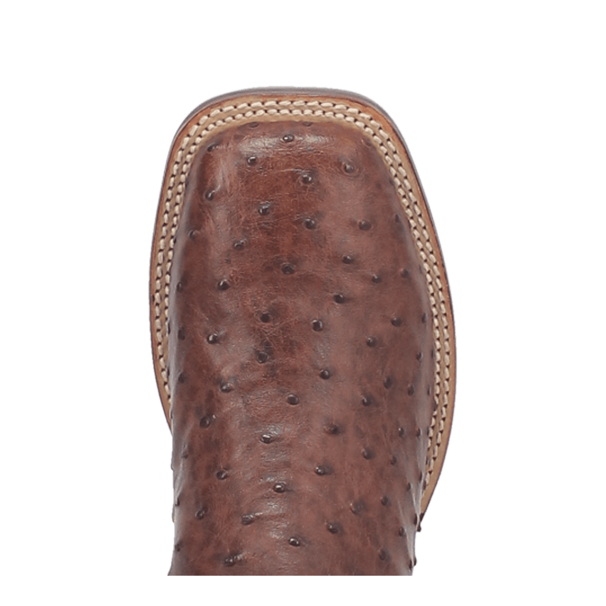 ALAMOSA FULL QUILL OSTRICH BOOT Image