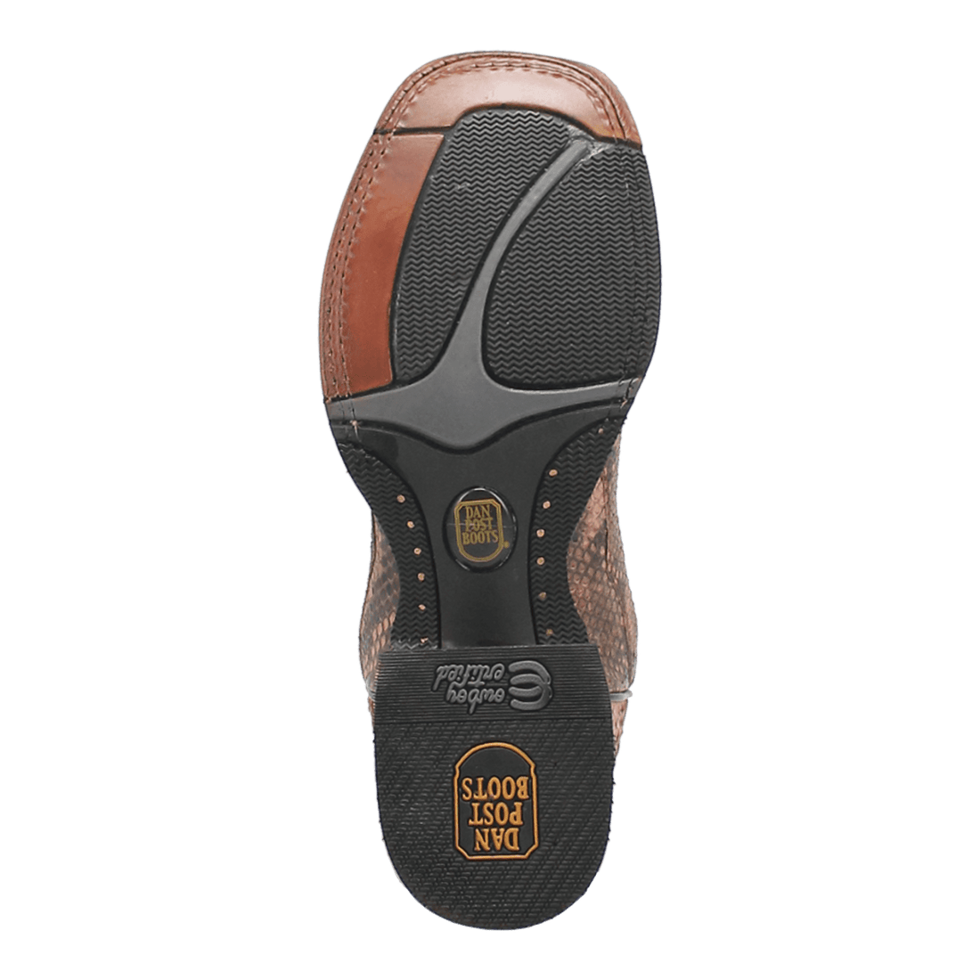 TEMPLETON PYTHON BOOT