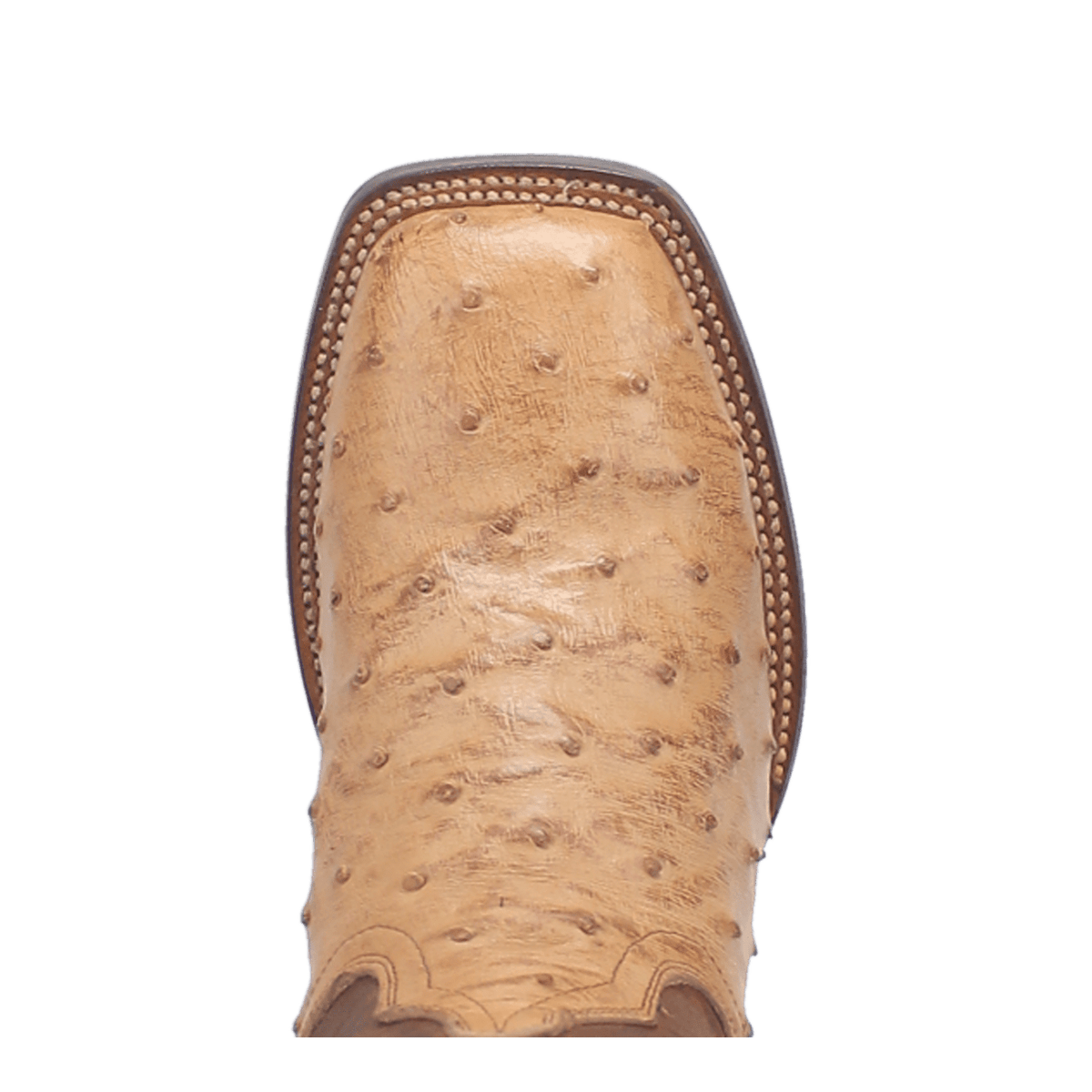 ALAMOSA FULL QUILL OSTRICH BOOT Image