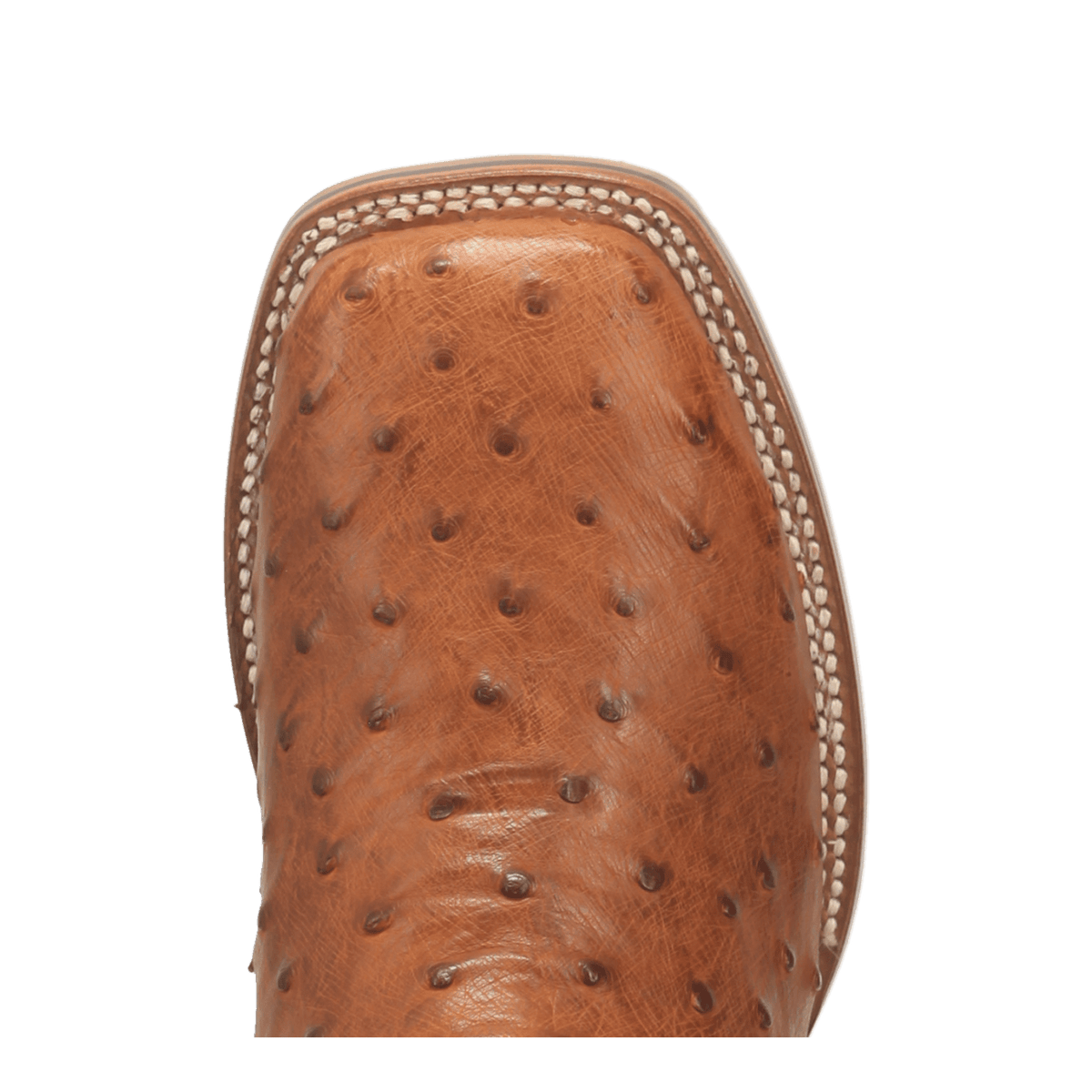 ALAMOSA FULL QUILL OSTRICH BOOT Image