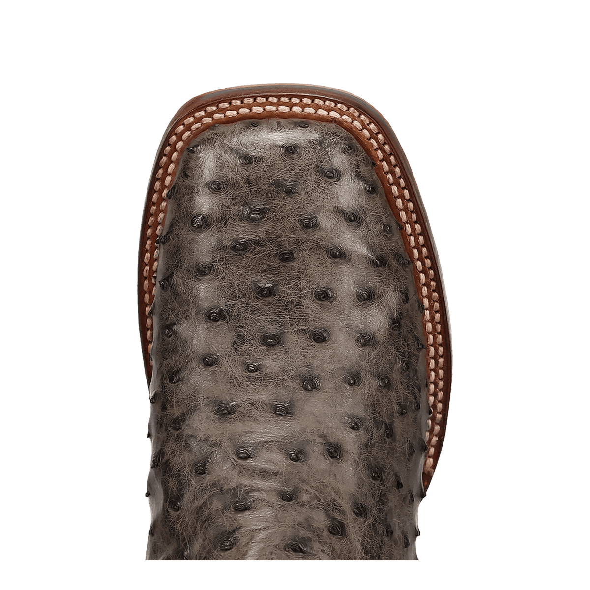 alamosa full quill ostrich boot toe angle