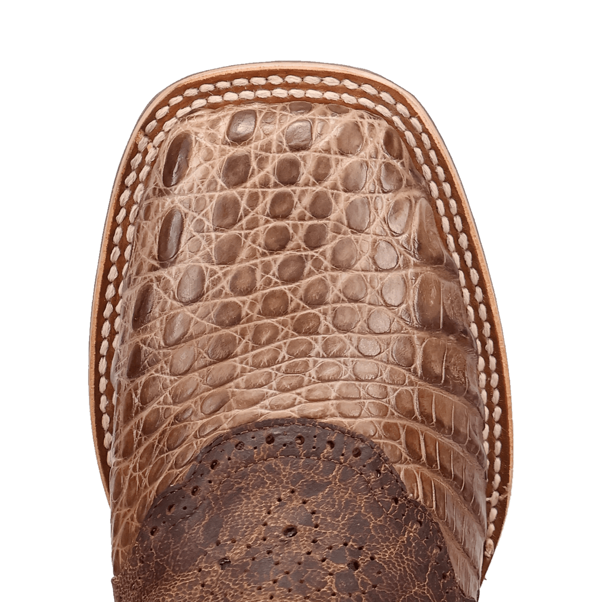 EGAN CAIMAN BOOT Image