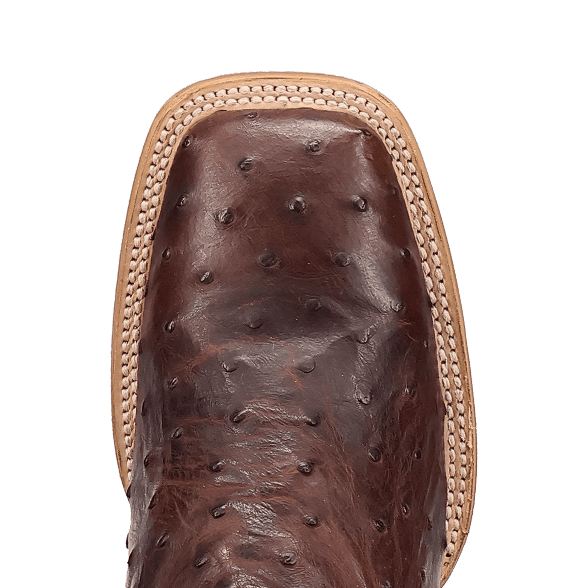 drayden full quill ostrich boot toe angle