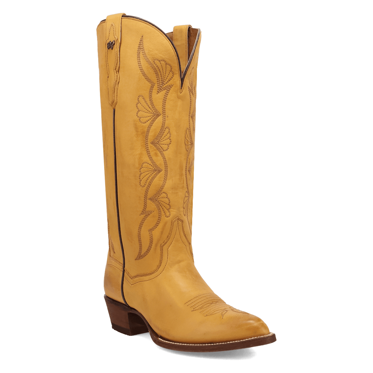 SUNRISE CANYON LEATHER BOOT Image