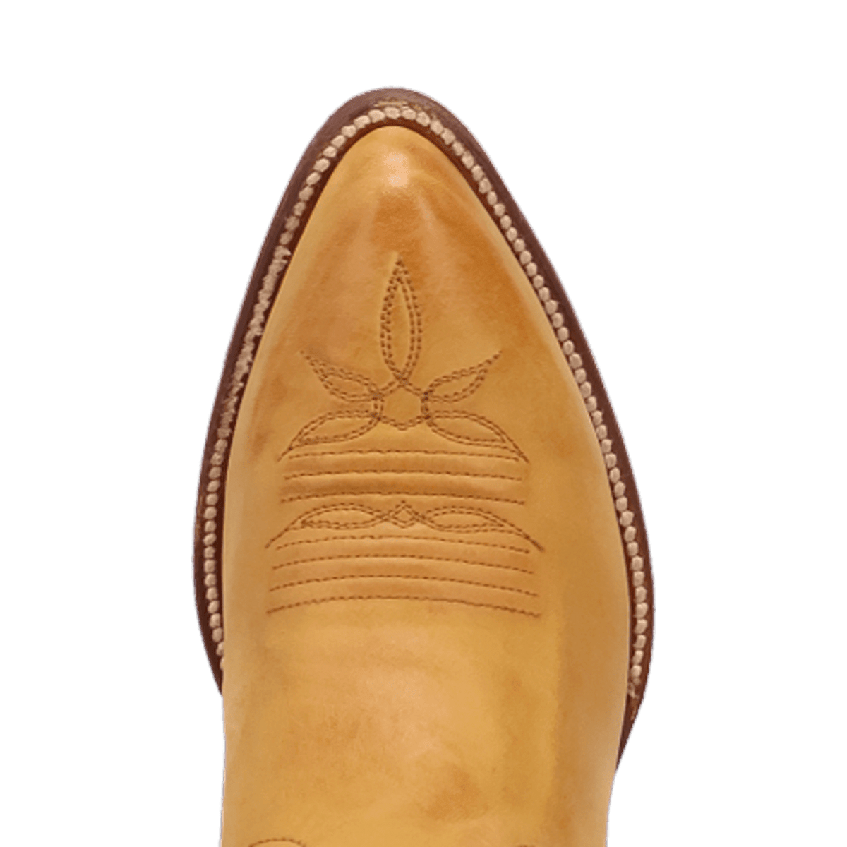 SUNRISE CANYON LEATHER BOOT Image