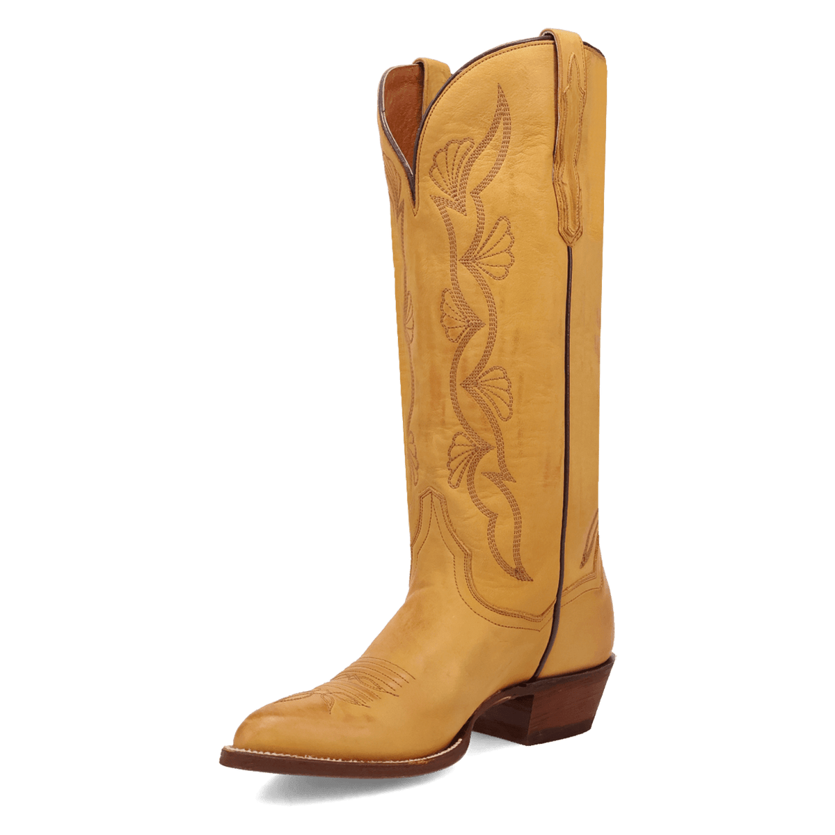 SUNRISE CANYON LEATHER BOOT Image