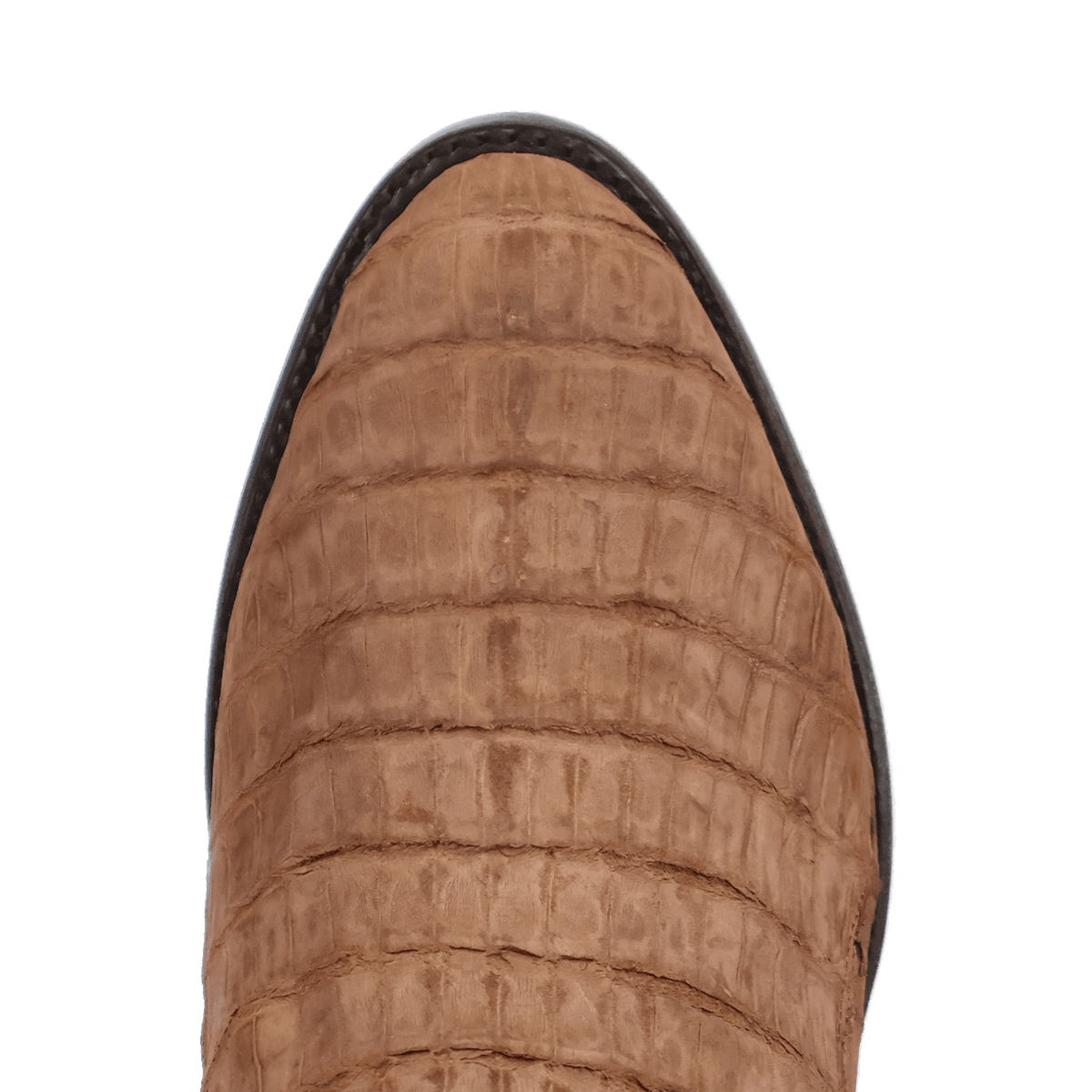 MAKARA CAIMAN BOOT Image