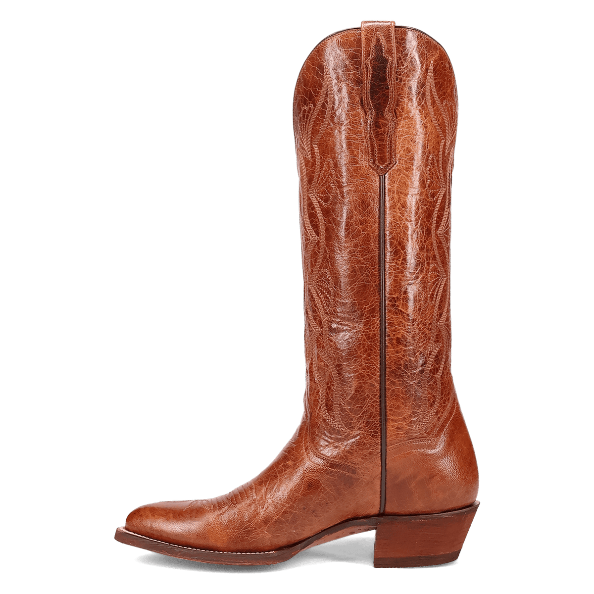 SUNRISE CANYON LEATHER BOOT Image