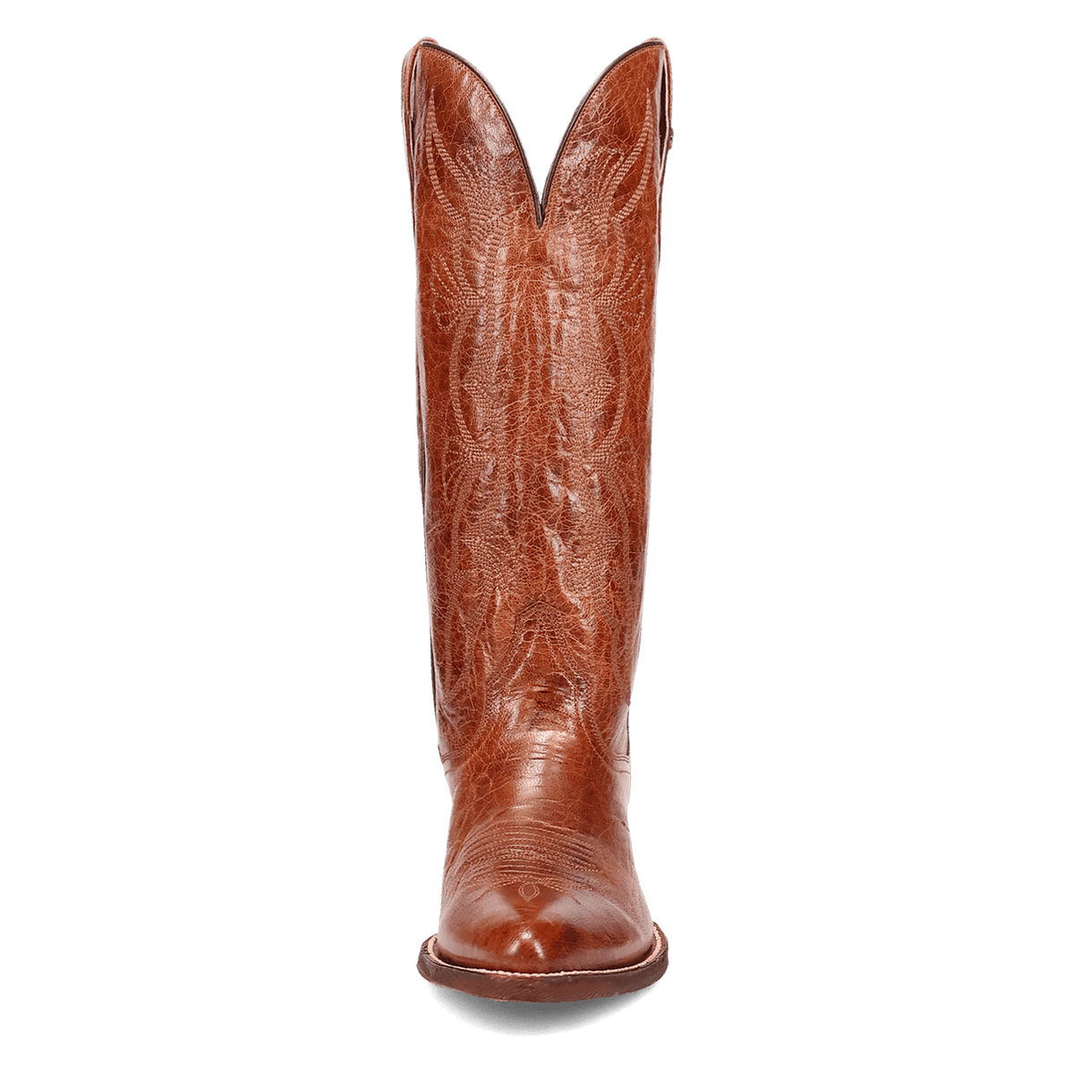 SUNRISE CANYON LEATHER BOOT Image