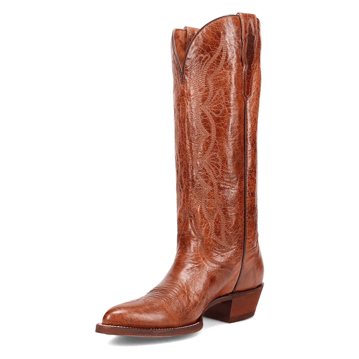 SUNRISE CANYON LEATHER BOOT Image