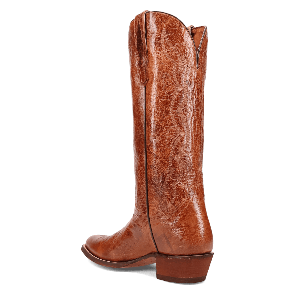 SUNRISE CANYON LEATHER BOOT Image