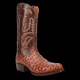 MARCO | Men's | Ostrich