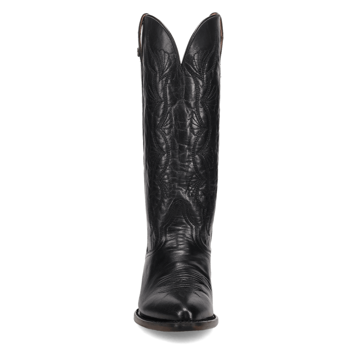 SUNRISE CANYON LEATHER BOOT Image