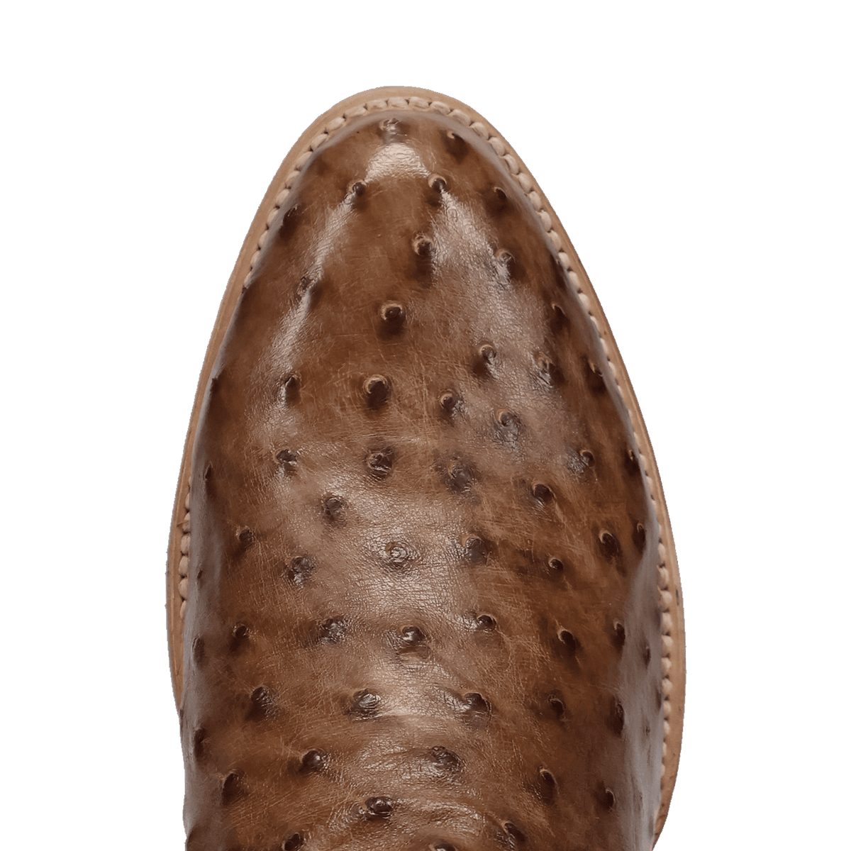 gauge full quill ostrich boot toe angle