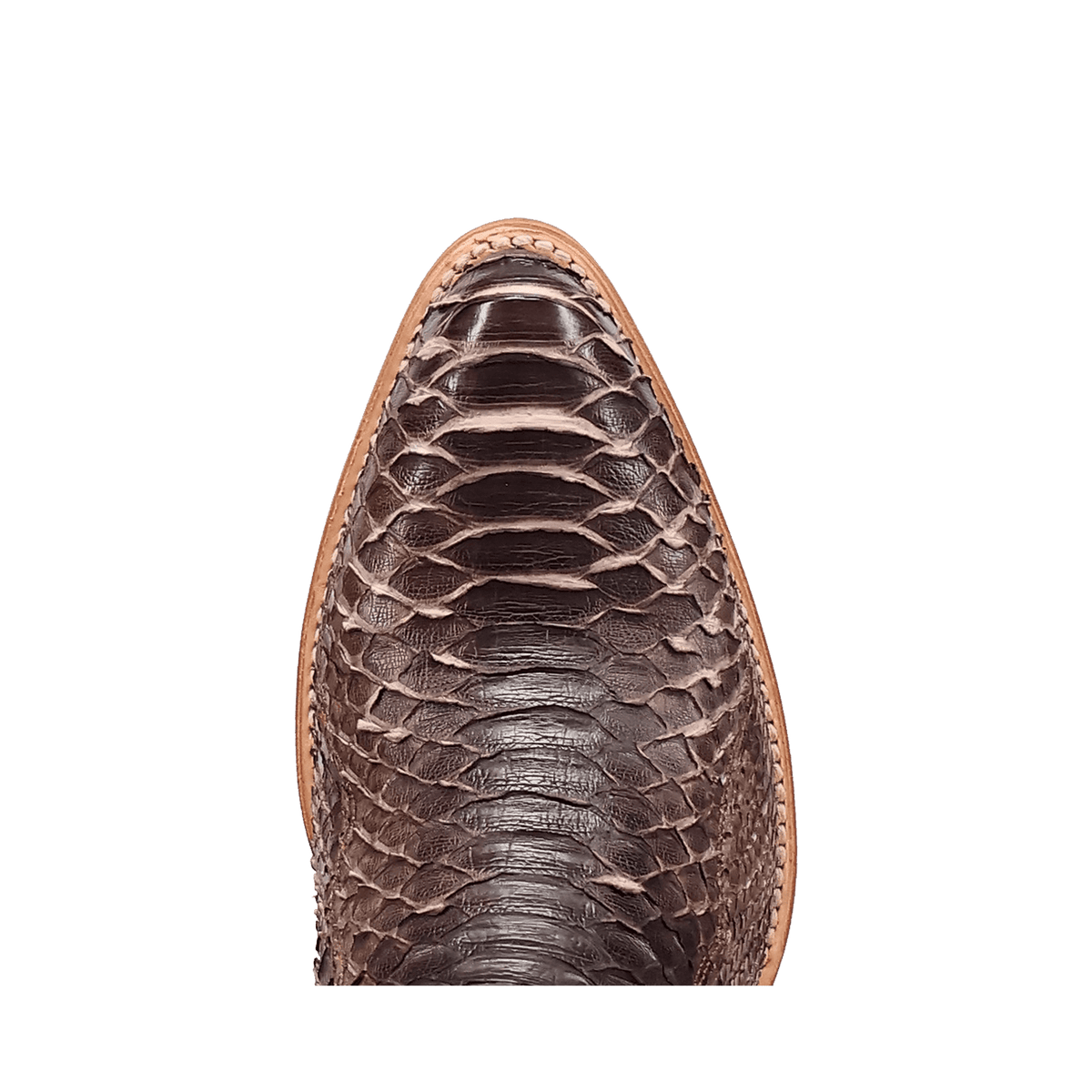 STRYKE BACK CUT PYTHON BOOT Image