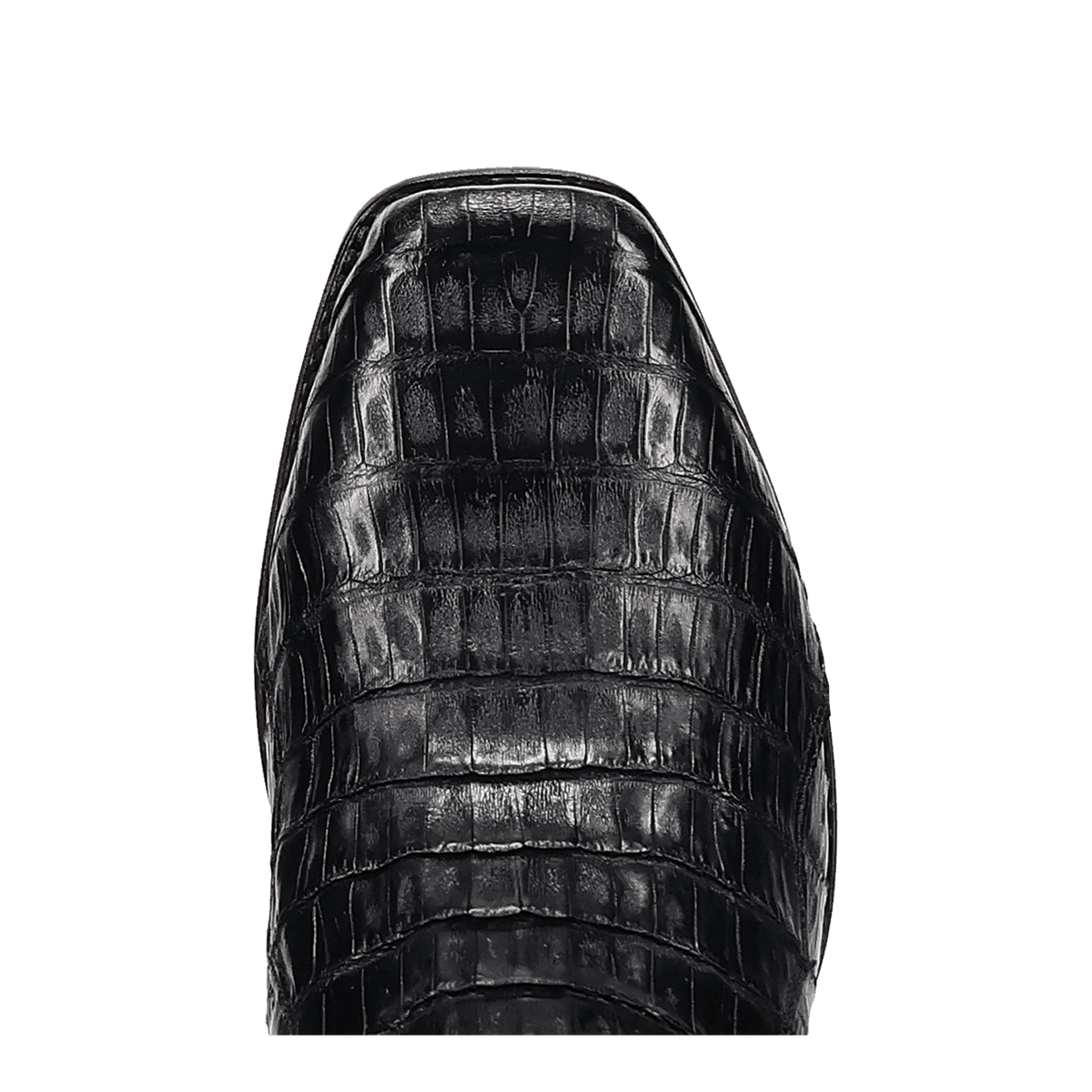 zandor caiman belly boot