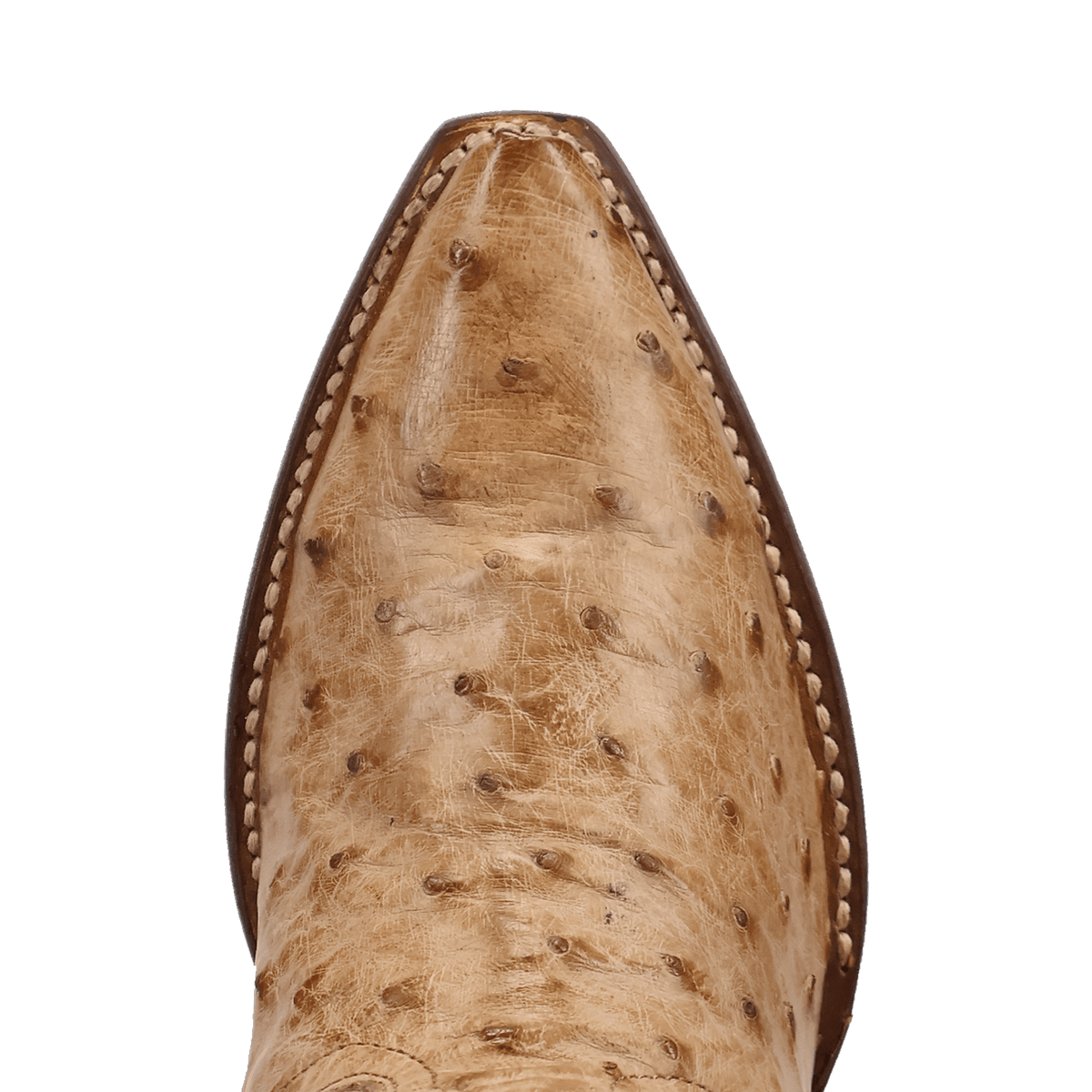maravilla full ostrich boot toe angle