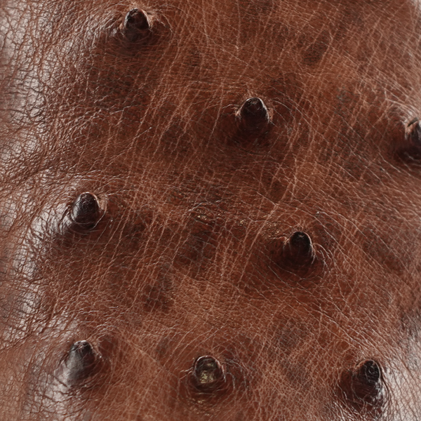 Close-up of brown full quill ostrich skin texture