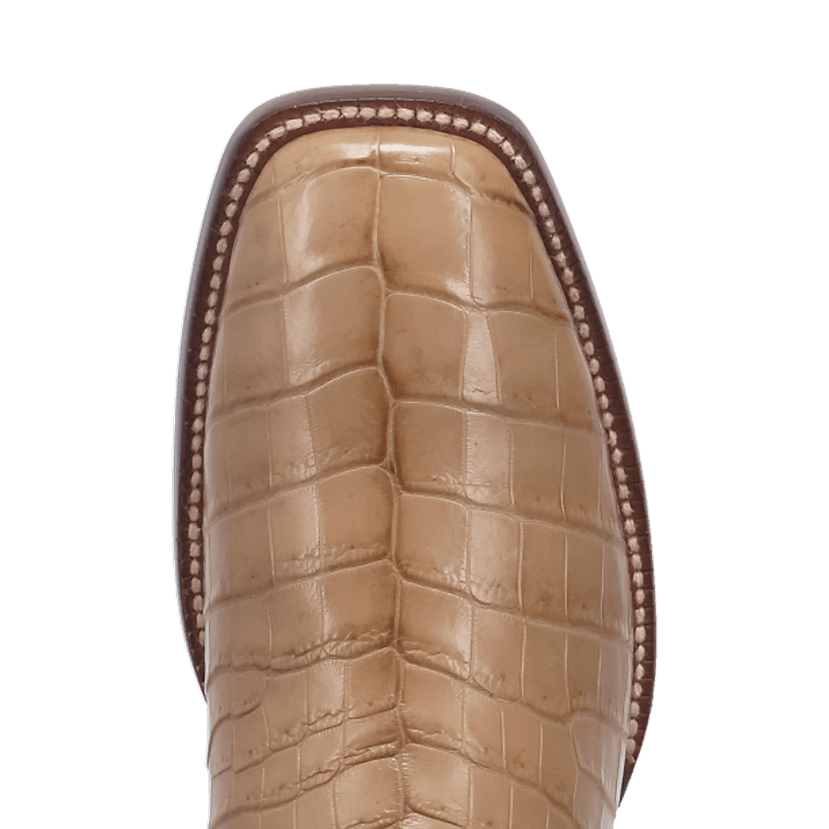 sutter nile crocodile boot - dan post boots