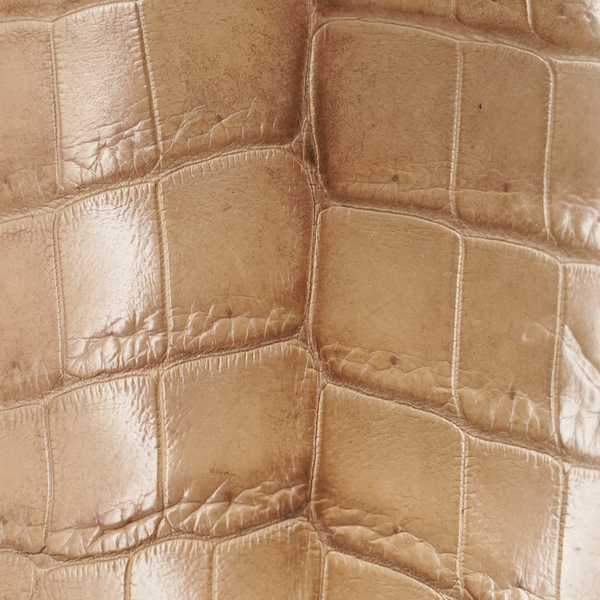 Close-up of light tan nile crocodile skin texture