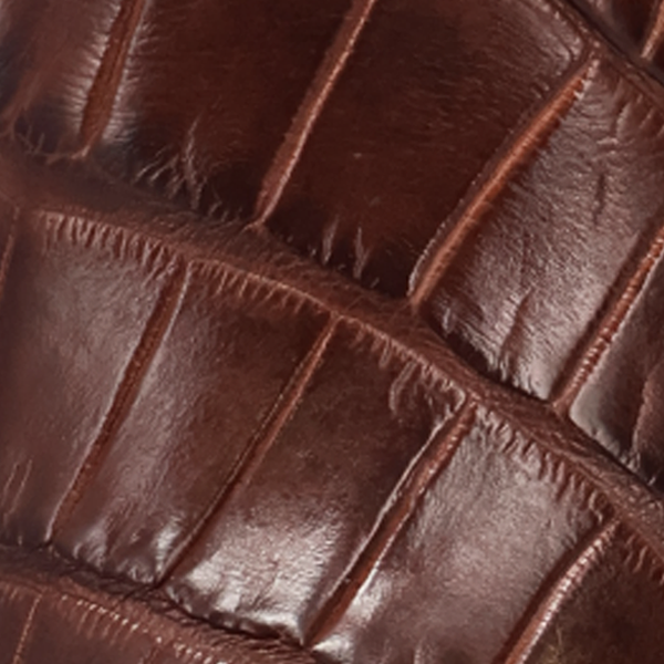 Close-up of brown american alligator skin texture