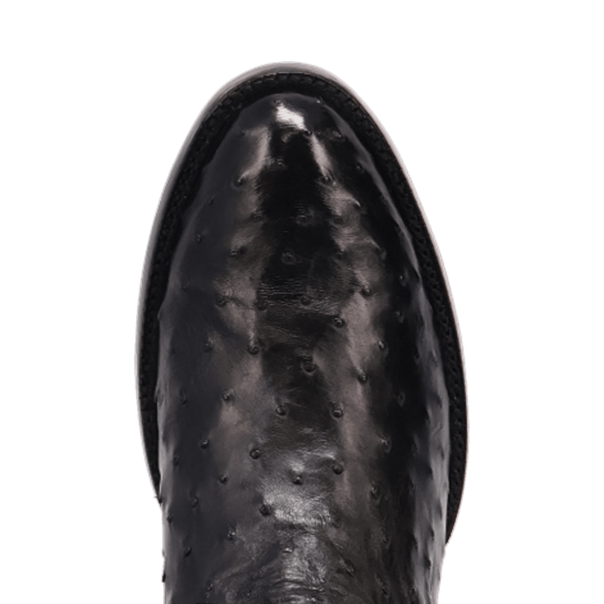 stanford full quill ostrich boot - dan post boots
