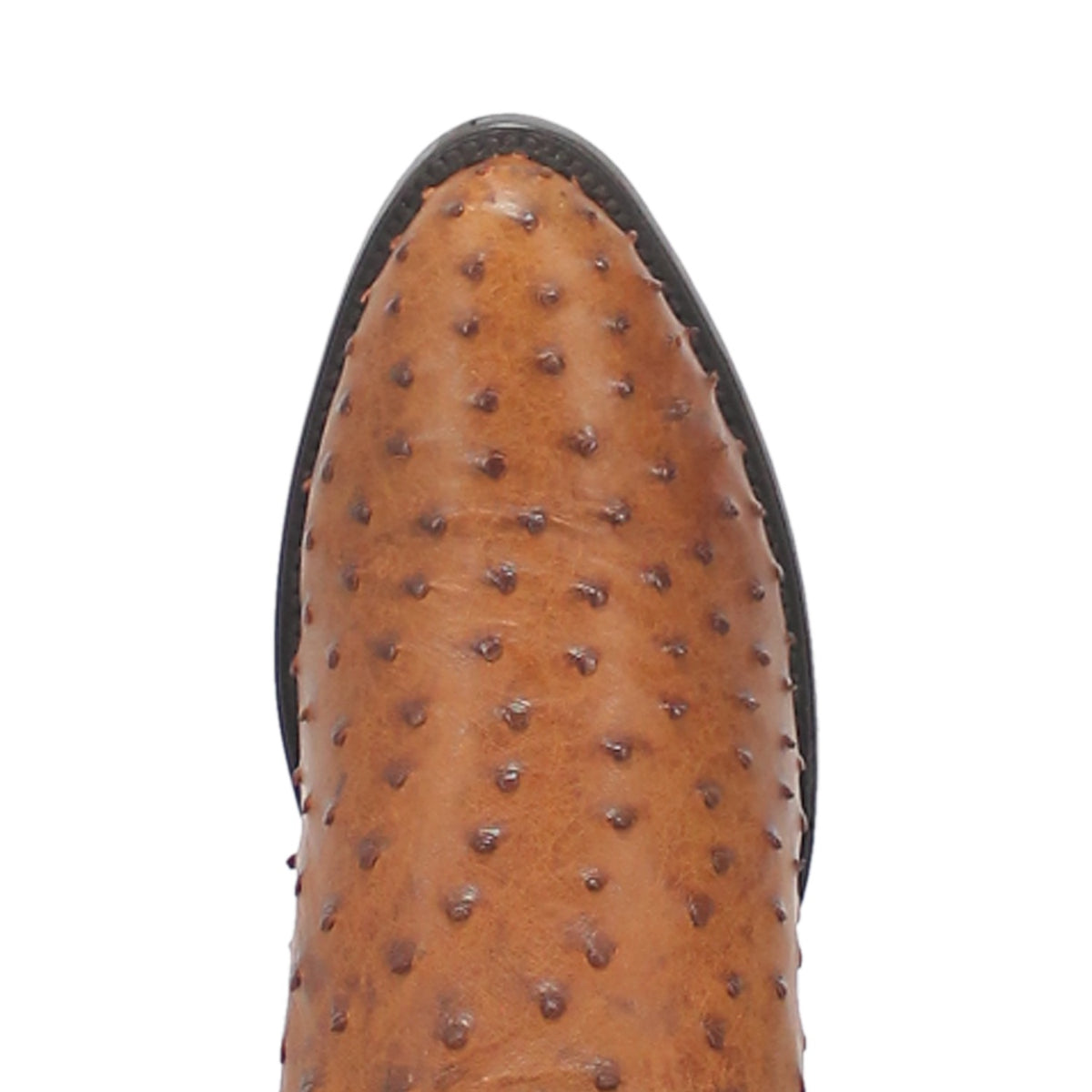 TEMPE FULL QUILL OSTRICH BOOT Image