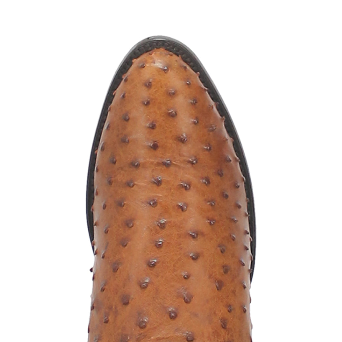 TEMPE FULL QUILL OSTRICH BOOT Preview #6