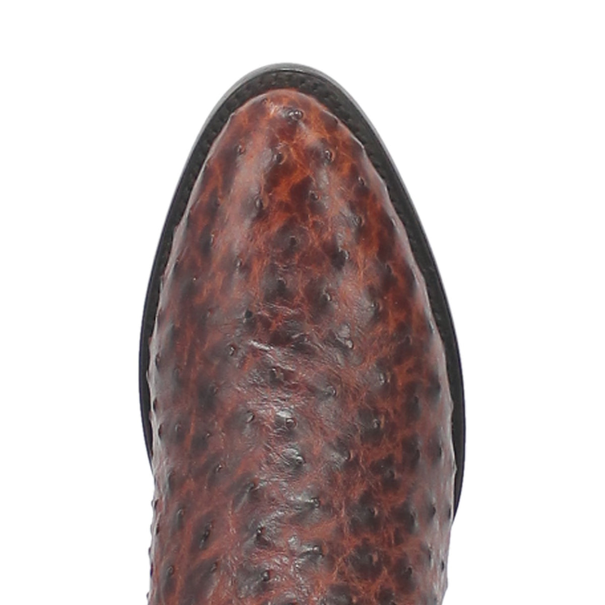 PERSHING FULL QUILL OSTRICH BOOT Cover