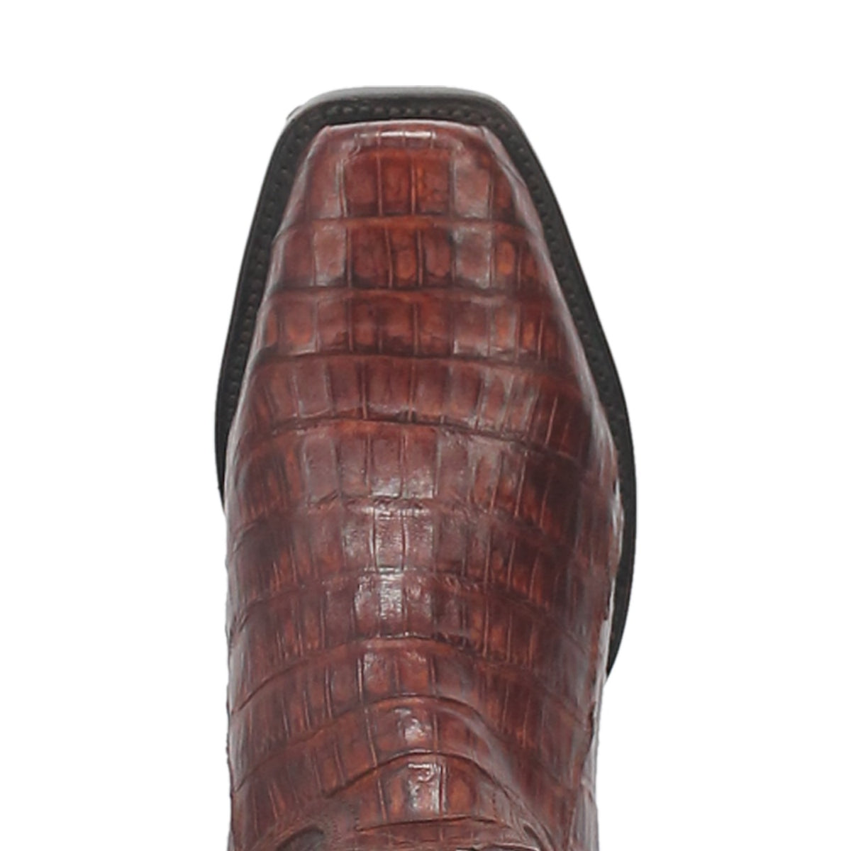 BAYOU CAIMAN BOOT Cover