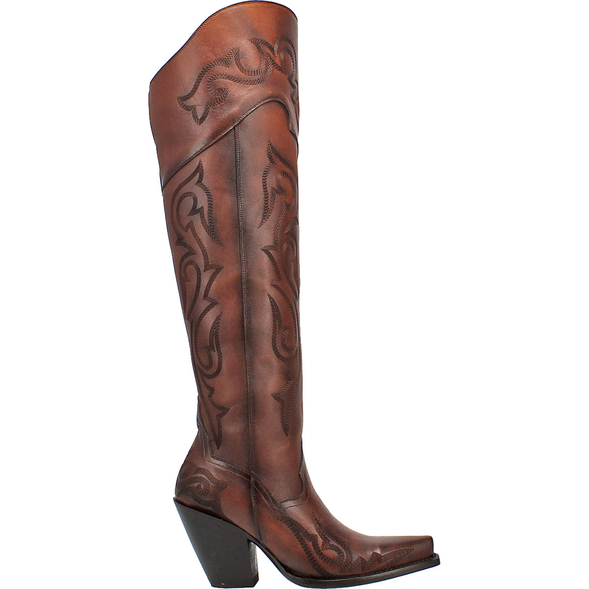 SEDUCTRESS LEATHER BOOT Cover