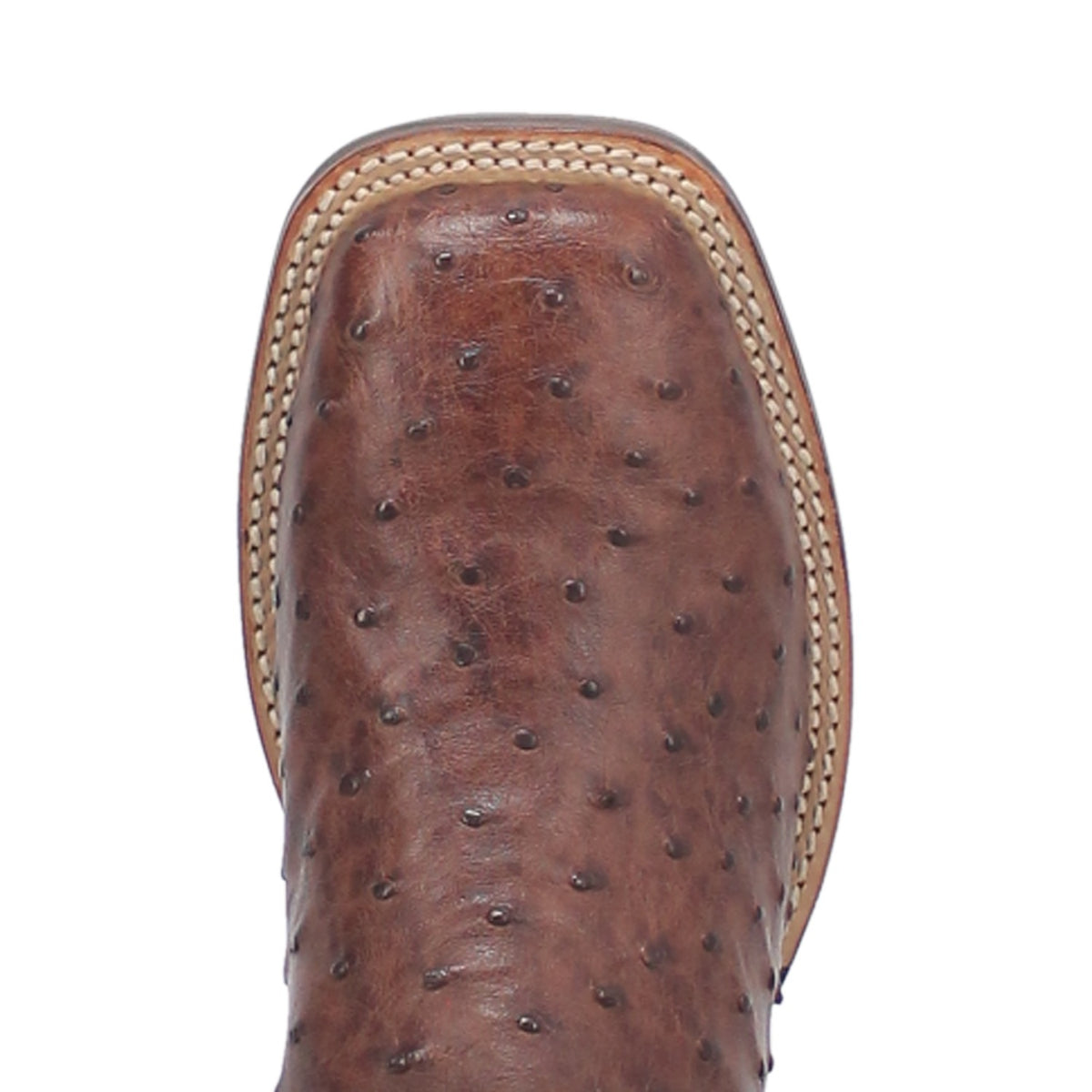 ALAMOSA FULL QUILL OSTRICH BOOT Cover