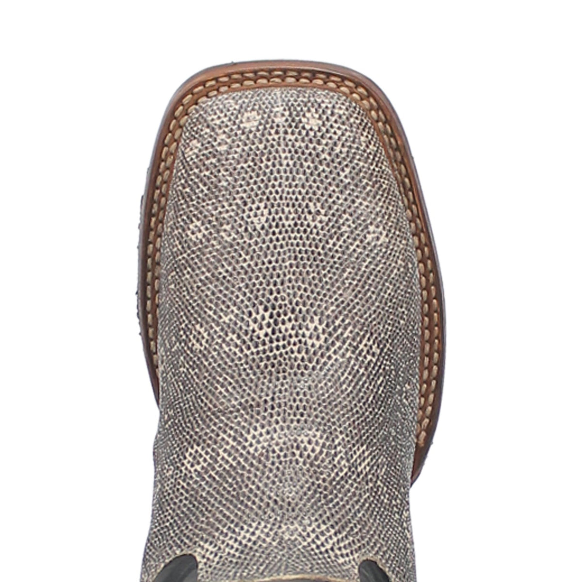 ELGIN LIZARD BOOT Cover