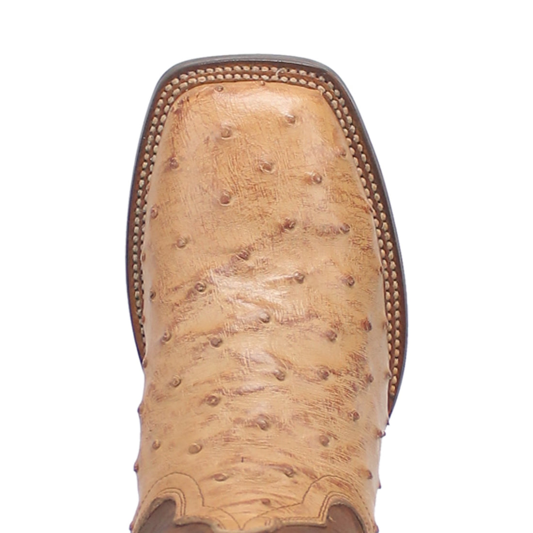 ALAMOSA FULL QUILL OSTRICH BOOT Preview #6