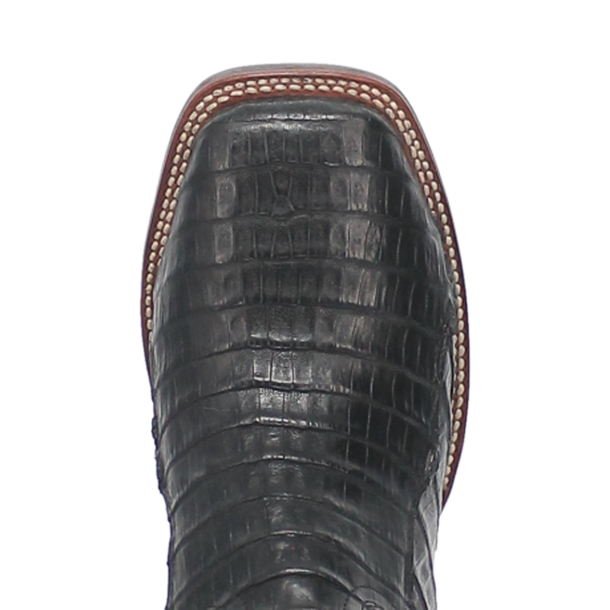 KINGSLY CAIMAN BOOT Cover